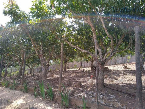 Chácaras À Venda Em Nazare Paulista/sp - Compre O Seu Chácaras Aqui! - 1474903