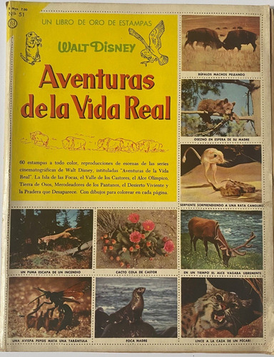 Libro De Estampas, Álbum Aventuras Vida Real, Novaro Cr01