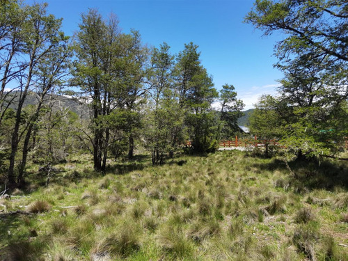 Terreno 5.000 M2 Sector Los Ñirres, Malalcahuello