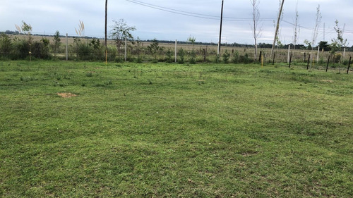 Excelente Lote Ideal Para Casaquinta. Km 52 Ruta 2