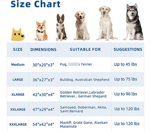 Cama Ortopédica Extra Grande Para Perros Con Funda Lavable Gris Diseño