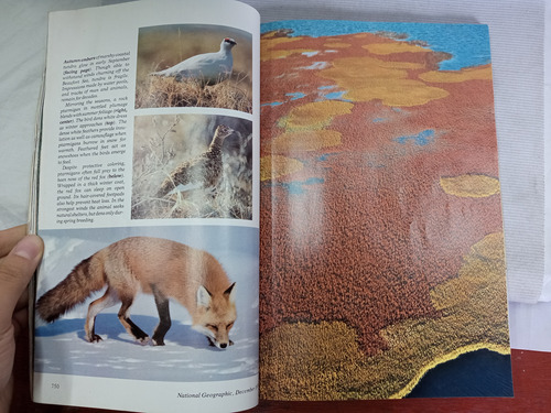 Promoción - 10 Revistas Nat Geo - En Inglés - Fauna Y Caza