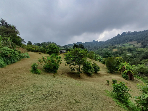 Venta Dapa Casa Finca Para Remodelar A Su Gusto, Sector Miravalle Yumbo Dapa Finca Lote Casa Campestre