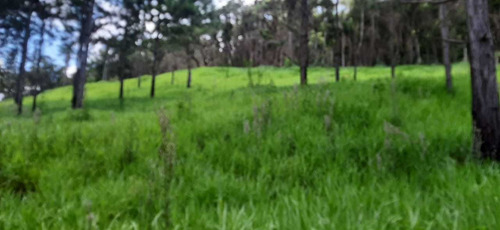 Terrenos De 1000m² Baratos, Para Chácaras No Interior De Sp