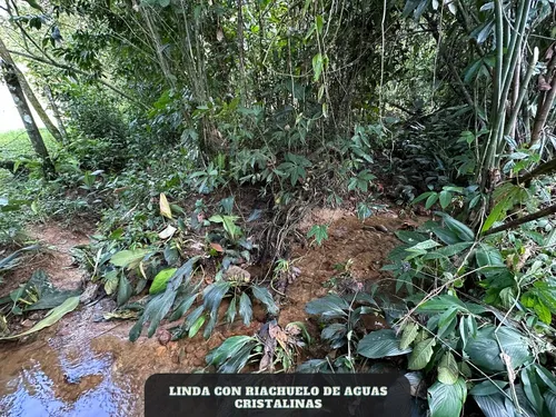Lote Entre Restrepo Y Cumaral, Caney Medio