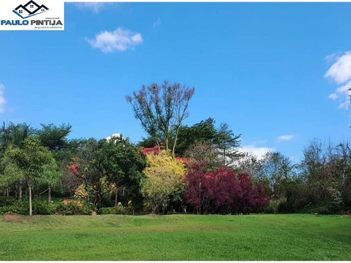Imagem 13 de 17 de Sitio De 66.000m Em Helvétia (indaiatuba) Com Excelente Estrutura - St00070 - 70749291