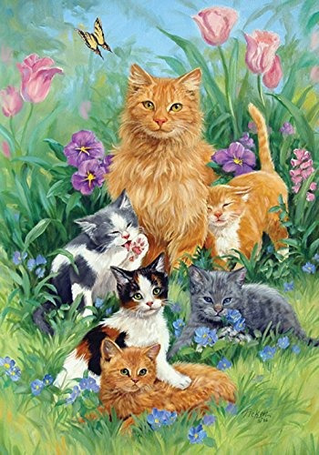 Toland Jardin De Su Casa Prado Gatos 125 X 18 Pulgadas Decor