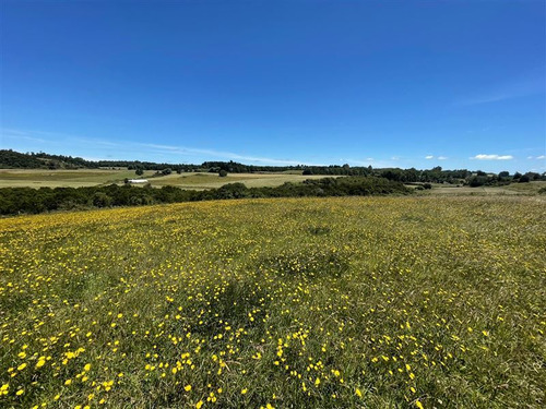 Terreno 1 Hectárea En Parcela Frutillar Bajo