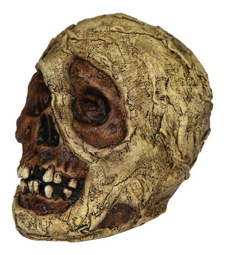 Imagen 1 de 1 de Decorativo De Látex Cráneo Momia Mummy Skull