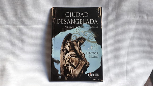 Ciudad Desangelada Negro Hector  Ciccus