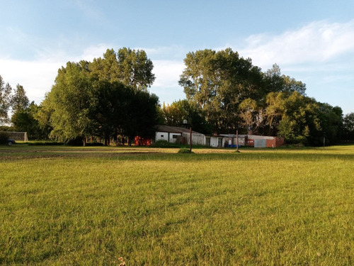 Imagen 4 de 13 de Campo 3 Hectáreas En Venta!!!otamendi