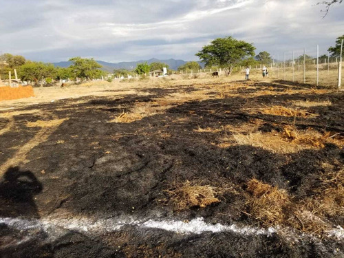 Imagen 4 de 11 de En Venta Terreno En San Agustín Yatareni, Oaxaca.