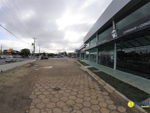 Imagem 4 de 5 de Lojas Para Alugar - 03097.007