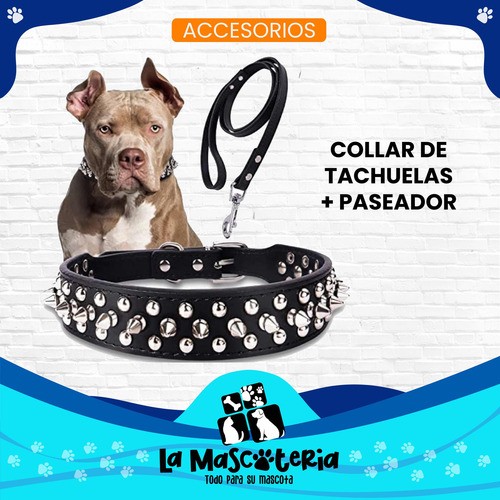 Collar De Cuero Con Paseador