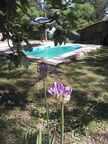 Imagen 12 de 21 de Excelente Quinta Sobre El Río Coronda