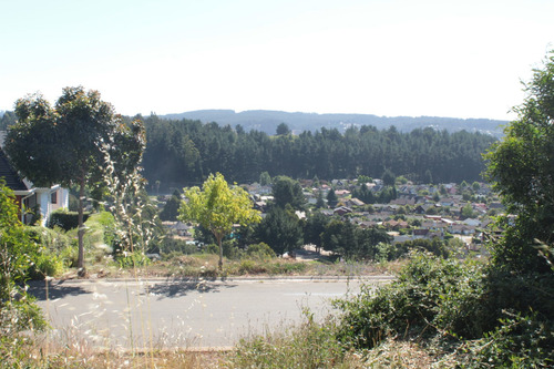 Imagen 5 de 10 de Se Vende Terreno Urbano En Pingueral Tomé