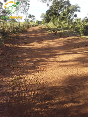 Imagem 11 de 14 de Fazenda À Venda Em São Valério - To - De 130 Alqueirões (dupla Aptidão) - 1791