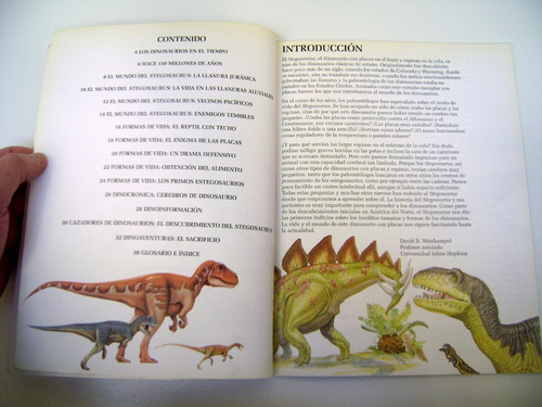 Dinoclub Larousse Stegosaurus Dinosaurios Para Niños Boedo (Usado)