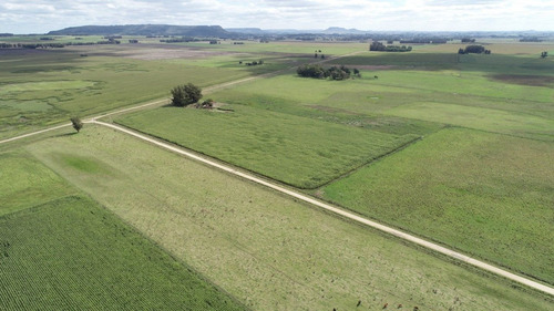 Imagen 6 de 30 de Quinta De 8 Has. A 1.800 Mts Ruta 226 - 100 % Agrícola