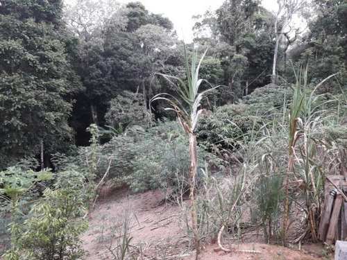 Cód 4161- Sitio De 4000 M² Em Ibiuna! - 4161