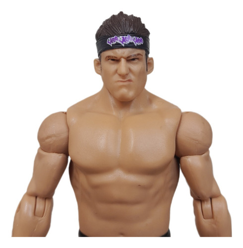 Wwe Mattel Series Zack Ryder Figura Matt Cardona (Usado)