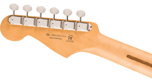 Guitarra elétrica Fender Stratocaster Player Ii Aqua Blue