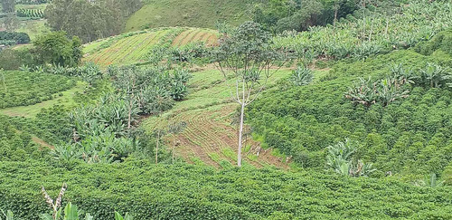 Imagem 7 de 15 de Fazenda, Para Venda Em Carangola/mg - Var1212ale