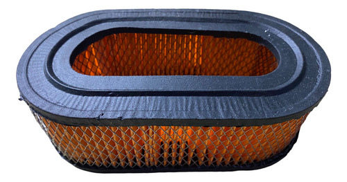 Filtro De Aire Honda Elite 150 - De Dion Fa170