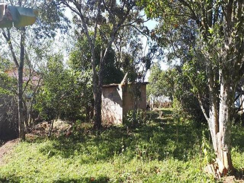 Imagem 6 de 7 de Cod 3617 - 1.000 M² De Frente Para O Asfalto! - 3617