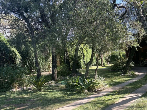 Imagen 2 de 3 de Lote Talar De Mendiolaza