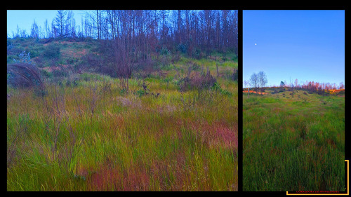 Terreno Sector Las Arenitas , Santa Juana (67674)