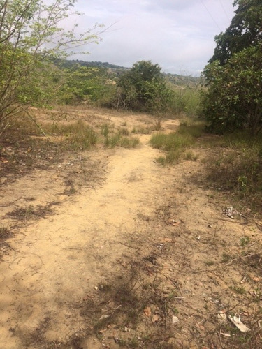 Imagem 17 de 18 de Ótimo Sítio 14 Hec, Não Tem Benfeitoria, Estrada De Aldeia Km 33 Em Paudalho Aceito Carro - St00007