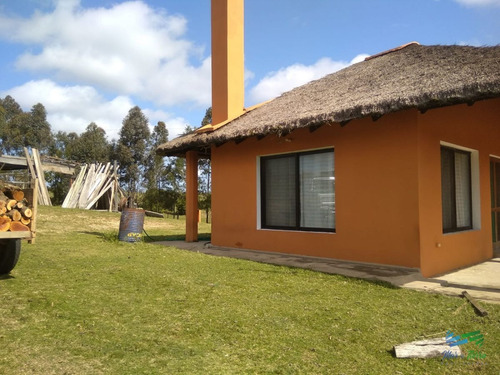 Imagen 2 de 24 de 5 Has Con Casa En Carape A Minutos De P. Edén Y Punta - Zona Rural Zona Rural
