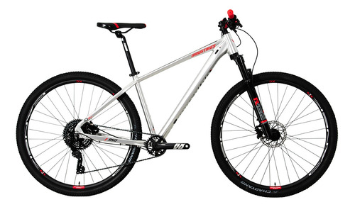 Bicicleta V Industries 950 Rodada 29 T17 Plata De Montaña