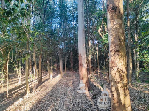 Venta Campo En Villa Ruiz, San Andres  De Giles.