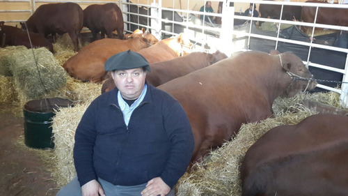 Campos Chacra Estancia Necesitamos Ya!! Para Arrendar Alquilar Venta Ganadero Agricola Tambo Forestal Pedidos Concretos Todo El Pais Se Ofrece Garantía Renta Pagada Adelantada Rápida Revisión Reserva