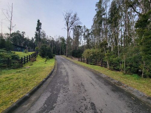 Espectacular Parcela Con Bosque En Condominio Las Tranqueras