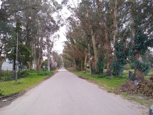 Imagen 6 de 12 de Campo En Venta - 10 Hectáreas Cerca De La Ruta 11