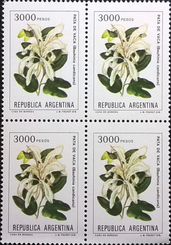 Argentina Flora, Cuadro Gj 2032 Flor 3000p Fluor Mint L11662