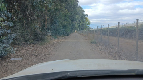 Agrícola, Hoy Semillera, Agua De Riego, Full Conexión Vial