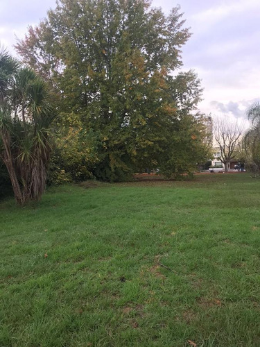 Imagen 9 de 27 de Lote Al Rio En Venta En Santa Maria De Tigre