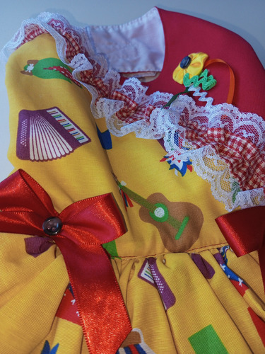 Vestido Pet Festa Junina Xxg Xadrez Porte Grande Chic Love