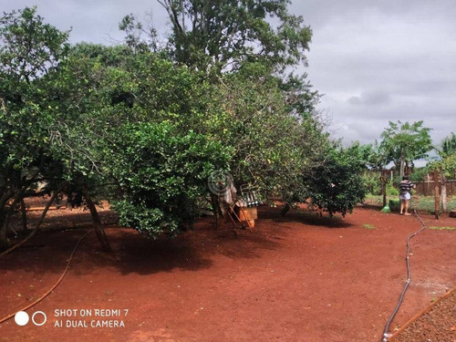 Imagem 14 de 14 de Chácara Com 4 Dormitórios À Venda, 4000 M² Por R$ 370.000,00 - Alto Da Boa Vista - Foz Do Iguaçu/pr - Ch0031
