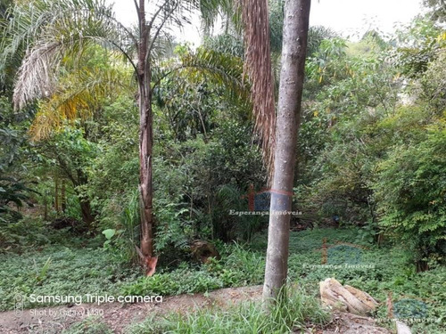 Imagem 9 de 12 de Ref.: 566 - Terrenos Em Cotia Para Venda - V566