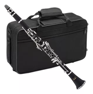 Clarinete Para Estudiantes Hoffer Usa Calidad Y Garantia