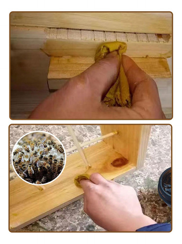 Atrayente De Abejas Atrayente De Abejas Para Jardín Bálsamo