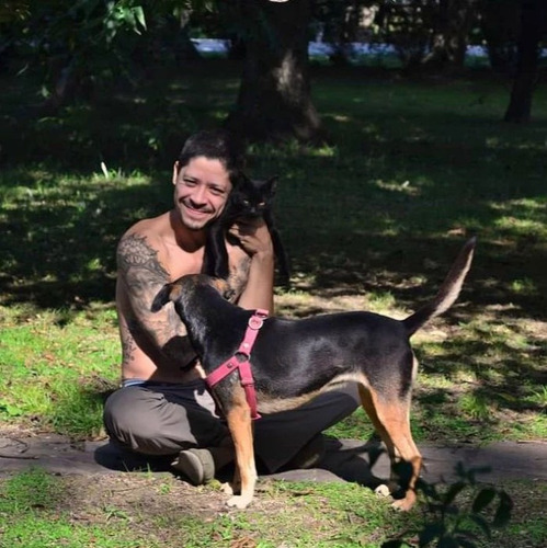 Imagen 2 de 9 de Peluquería A Domicilio Canina Y Felina Caba Gba Znorte Leer