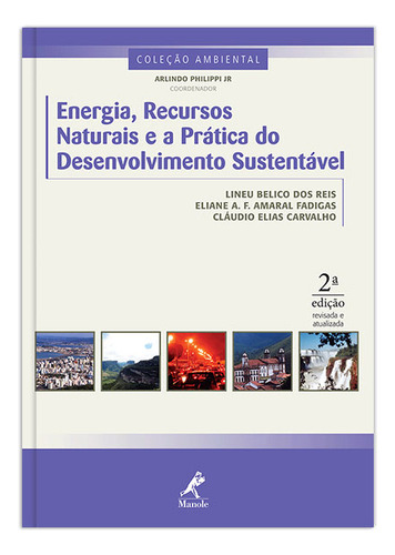 Energia, Recursos Naturais E A Prática Do Desenvolvimento Sustentável, De Lineu Belico Reis. Editora Manole Em Português