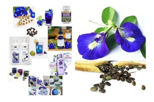 100 Semillas De Clitoria Ternatea Multiproposito Germinables