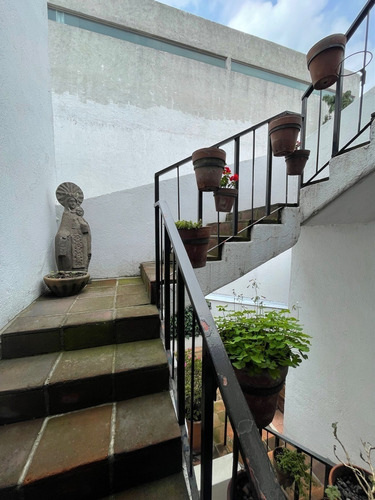 Imagen 2 de 22 de Renta Departamento En Lomas Bezares Tiro Al Pichon